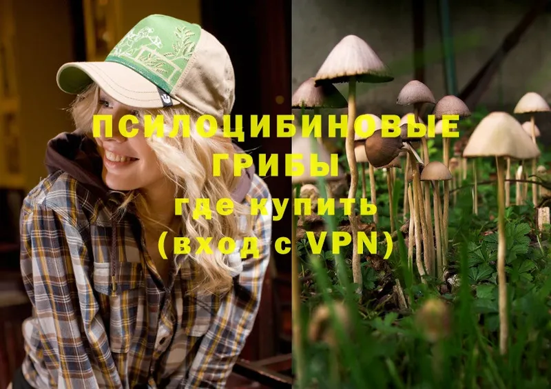 Галлюциногенные грибы MAGIC MUSHROOMS  Гремячинск 